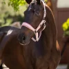 LeMieux Versailles Headcollar & Leadrope SS25