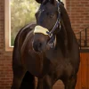 LeMieux Vogue Headcollar & Leadrope SS25