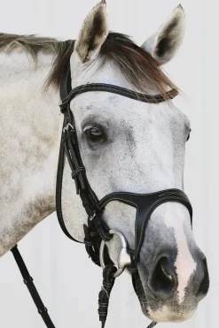 Montar Monarch Jumping Bridle Eco Leather