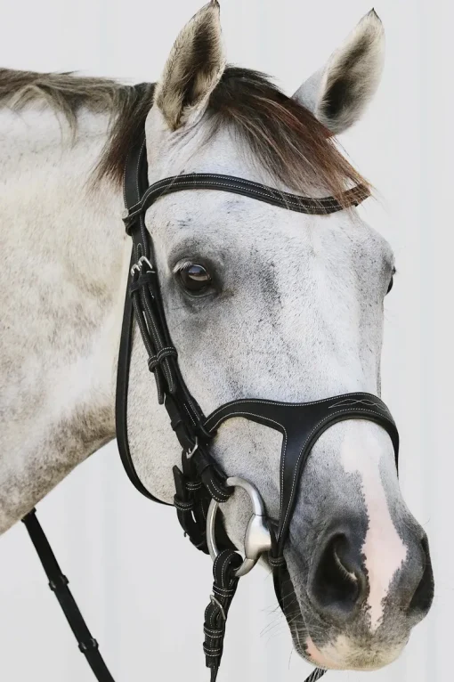 Montar Monarch Jumping Bridle Eco Leather