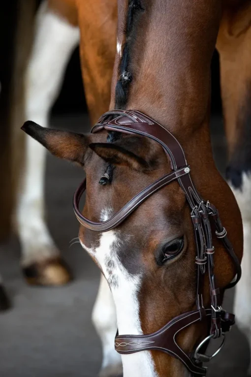 Montar Monarch Jumping Bridle Eco Leather
