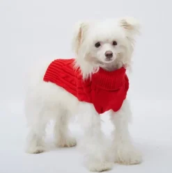 Pet London Cable Knit