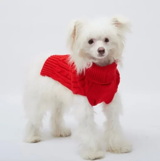 Pet London Cable Knit