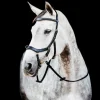 Rambo Micklem Multi Bridle