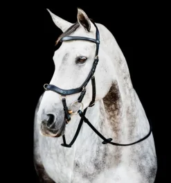 Rambo Micklem Multi Bridle