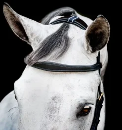 Rambo Micklem Multi Bridle