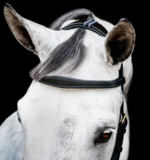 Rambo Micklem Multi Bridle