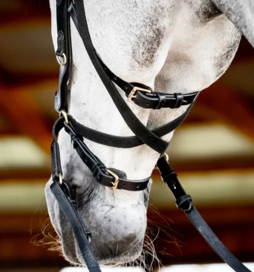 Rambo Micklem Multi Bridle