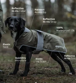 Reincoat Dog