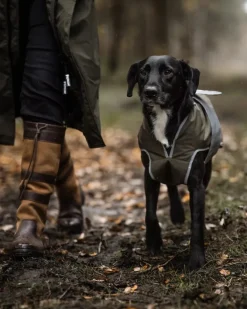 Reincoat Dog