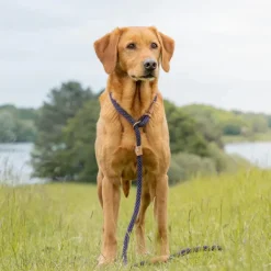 Ruff & Tumble Slip Lead