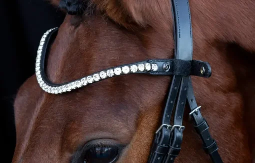 Schockemole Sienna Bridle