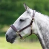 Shires Velociti GARA Leather Travel Headcollar
