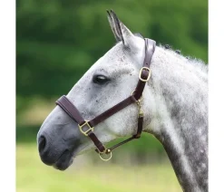 Shires Velociti GARA Leather Travel Headcollar