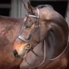 Shires Velociti GARA Plain Bridle