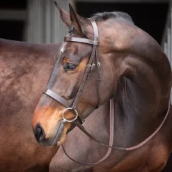 Shires Velociti GARA Plain Bridle