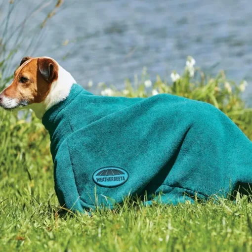 Weatherbeeta Dry-Dog Bag